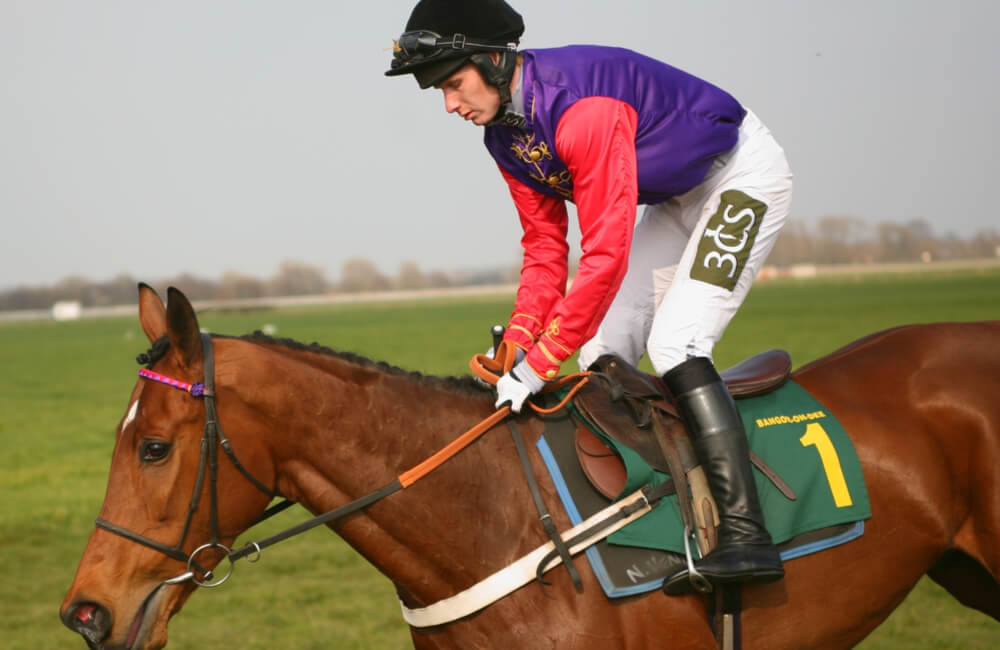 A Team of Racehorses @NEIL ROY JOHNSON / Shutterstock.com